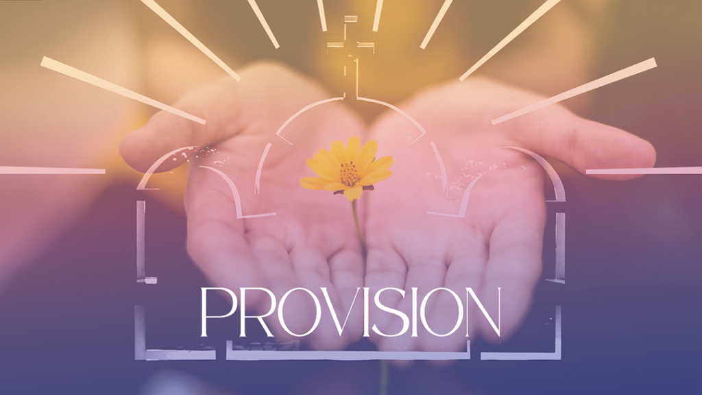 Reign in Life – Provision