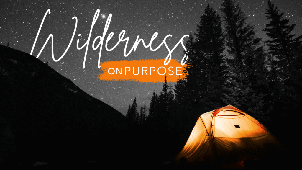 Wilderness on Purpose