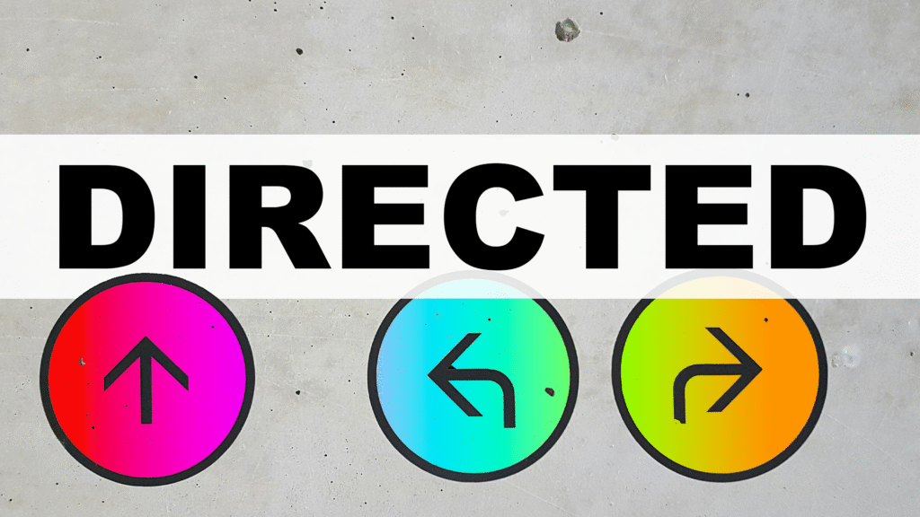 Directed – Into Perseverance