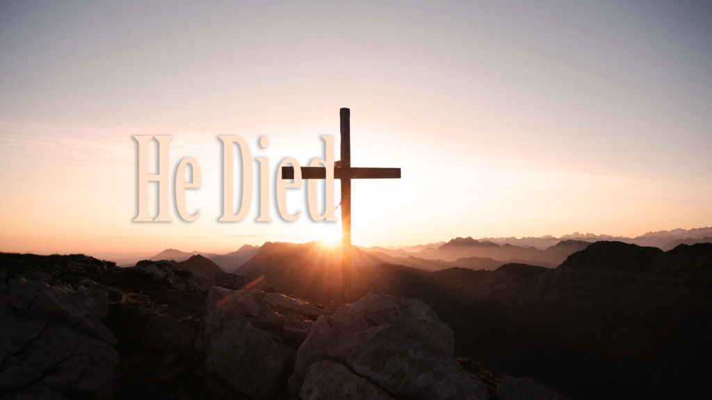 Hi died – My new Life (Part 1)